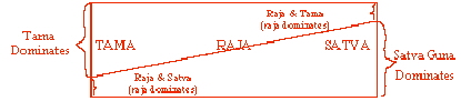 Satva-Tama.jpg