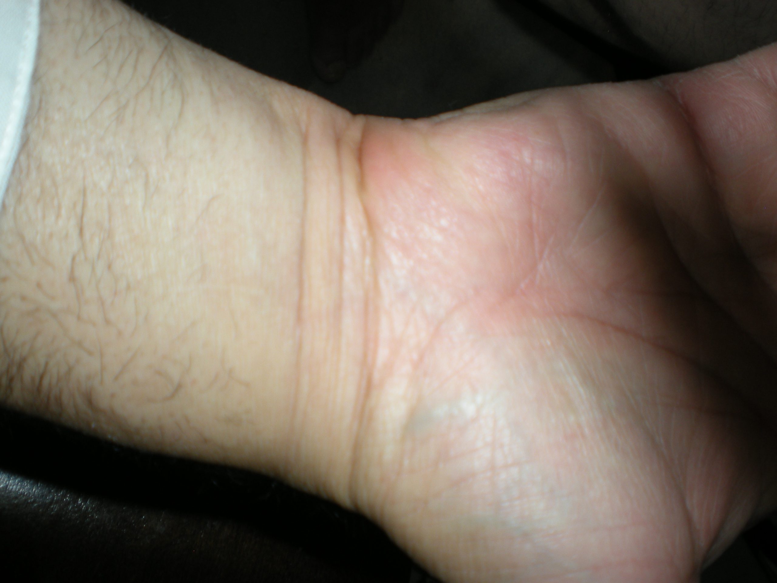 Stigmata12-scaled.jpg